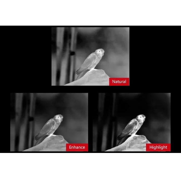 Тепловизионный прицел TU450 Тепловизионный прицел TU450