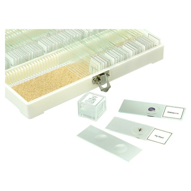 Набор микропрепаратов Микромед №80